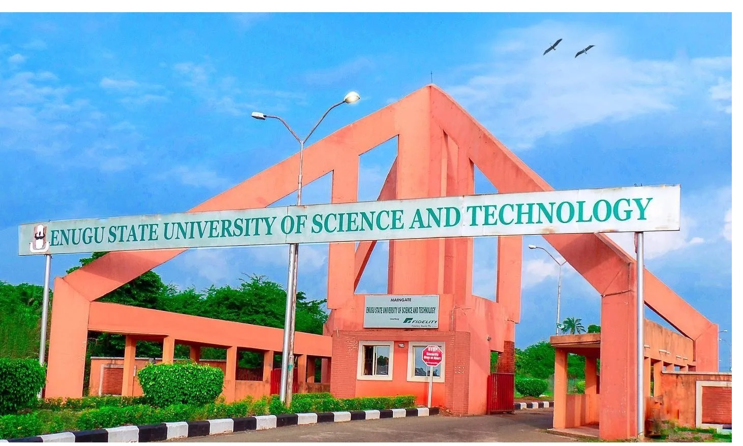 Nigerian Journal of Educational Leadership and Management